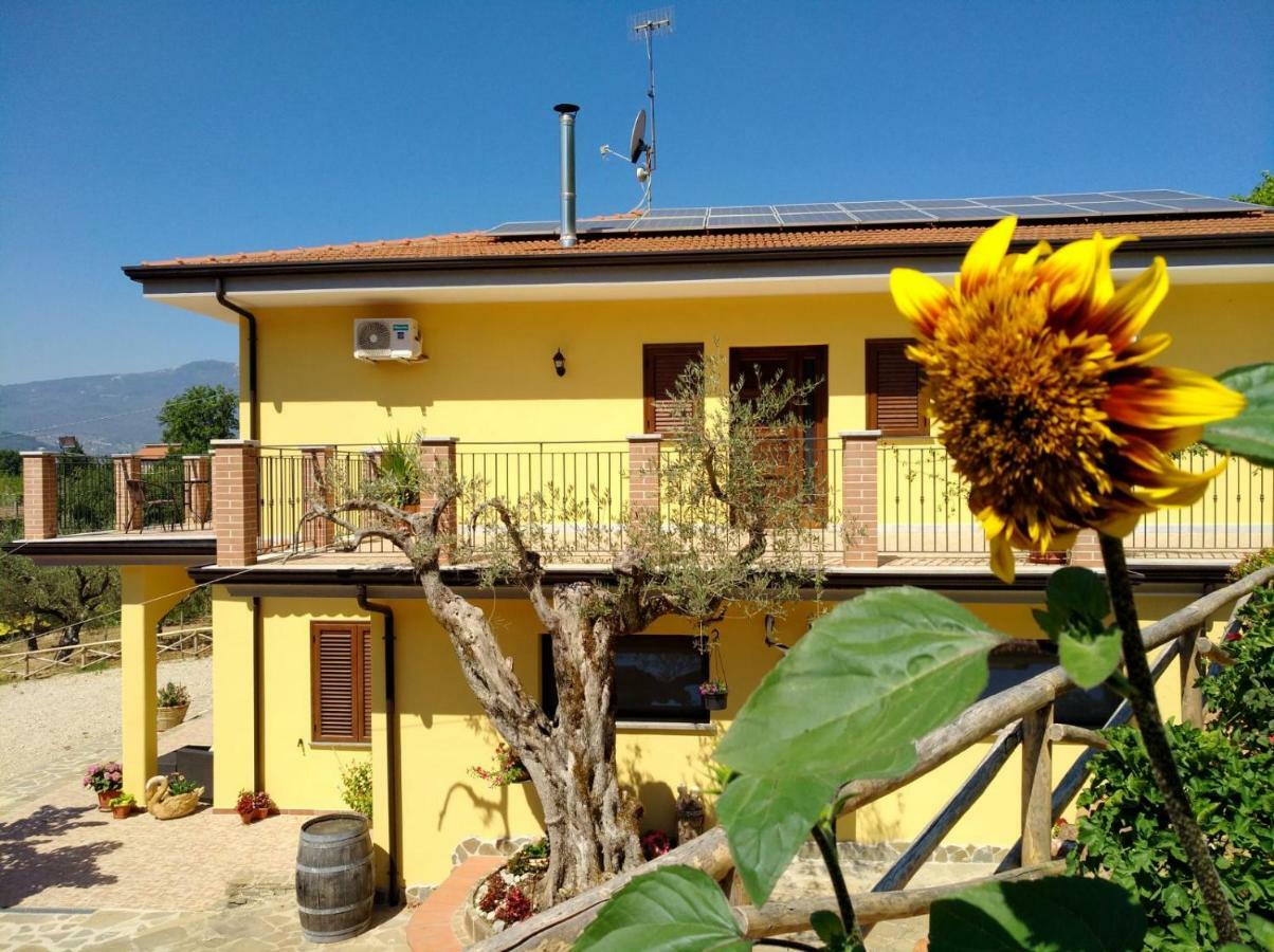 Agriturismo Il Marchese Aquara ภายนอก รูปภาพ