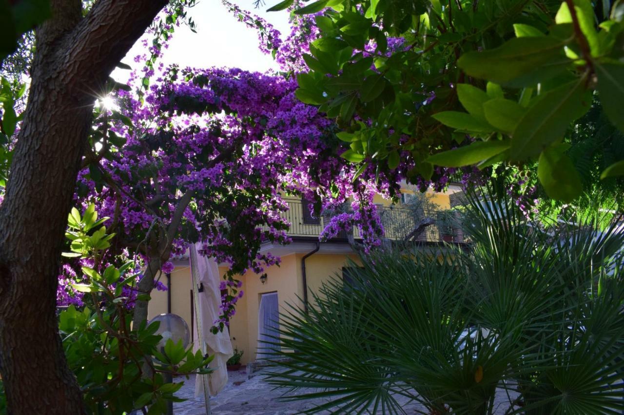 Agriturismo Il Marchese Aquara ภายนอก รูปภาพ